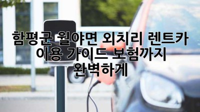 함평군 월야면 외치리 렌트카 이용 가이드: 보험까지 완벽하게!